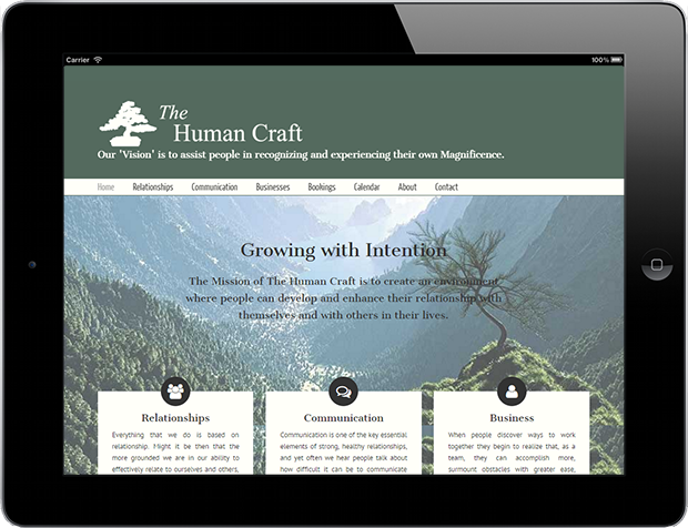 Business Web Design The Human Craft 1